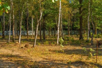 Участок, Зеленые холмы к/п (Першино), 50 сот