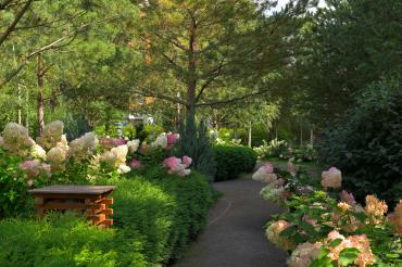 Коттеджный поселок «Внуково Теннис Кантри Клаб»