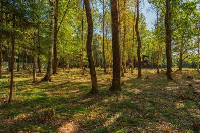 Участок, Зеленые холмы к/п (Першино), 50 сот