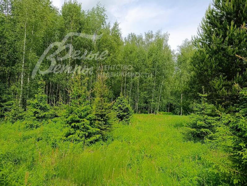 Участок, 32.2 сот