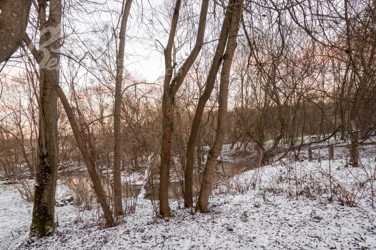 Прилесной участок окружает живописная природа Подмосковья