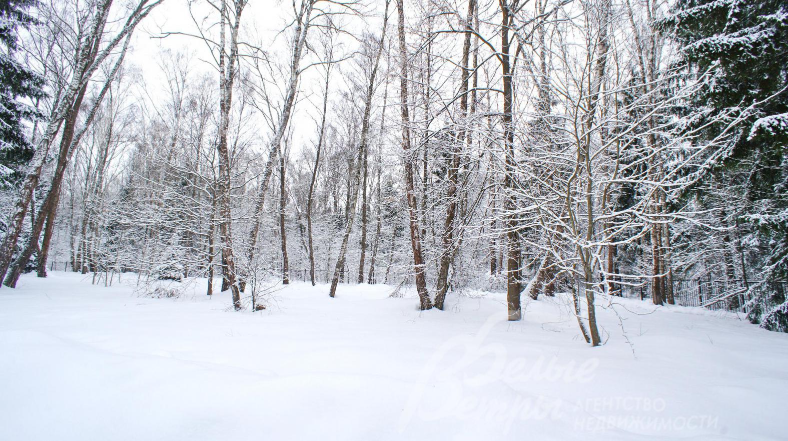Лесной участок 100 соток