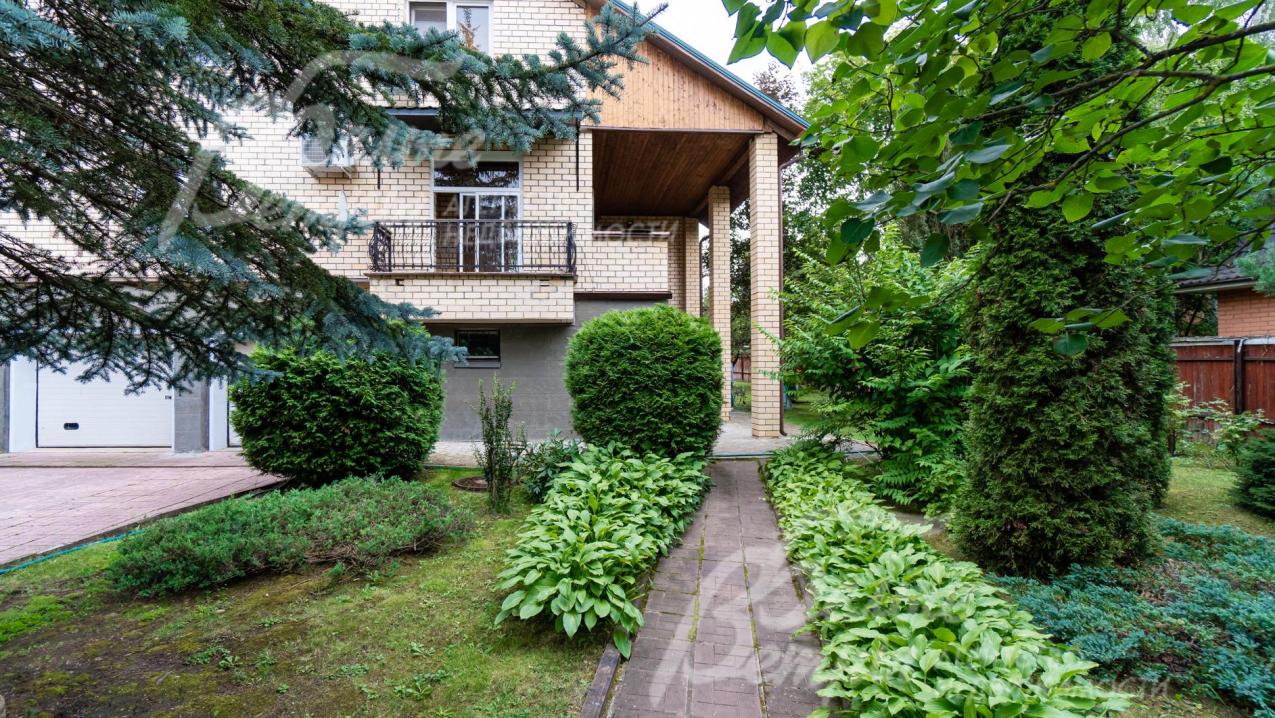 Дом утопает в зелени растений 