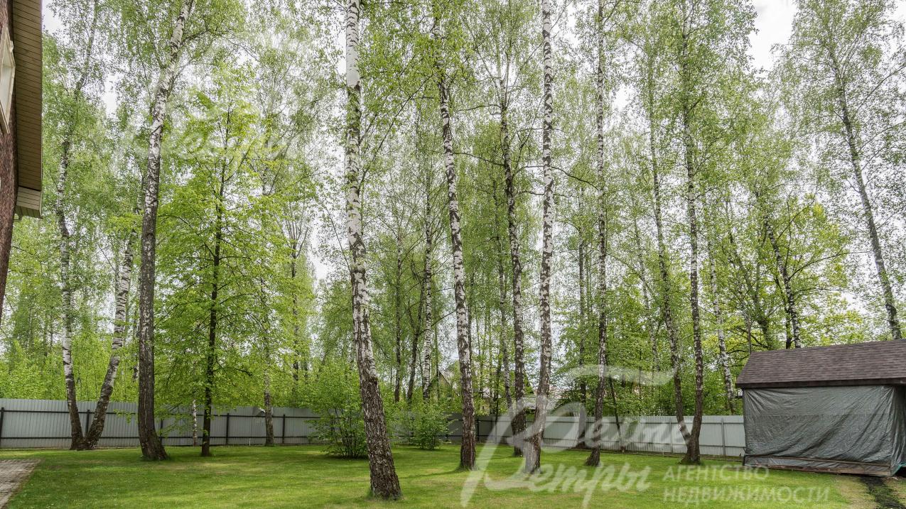 Лесной участок с 20 вековыми березами и газоном