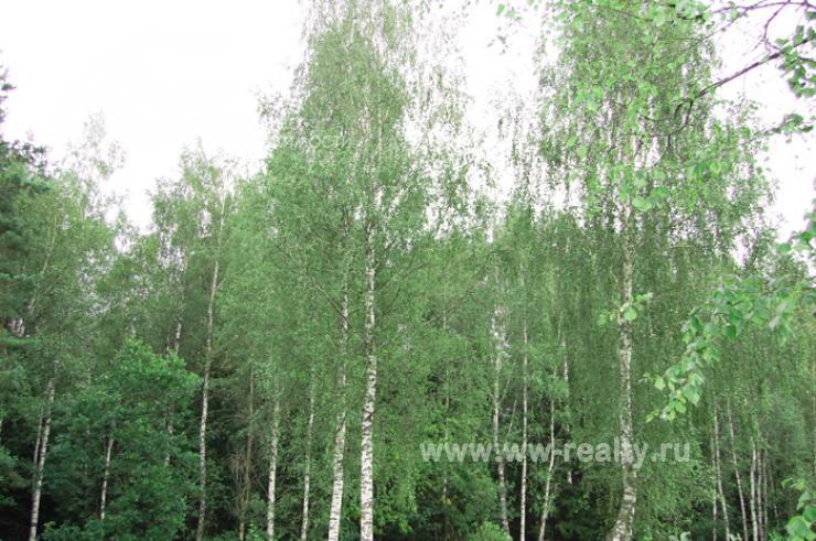 Земельный участок 20 соток в КП Солнечная горка