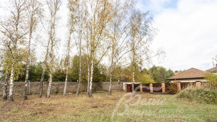 На участке 15,5 соток растут взрослые березы