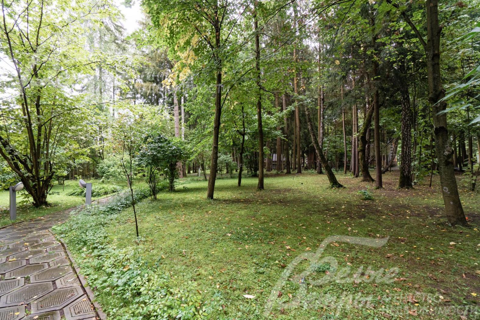 Лесной участок с ландшафтом