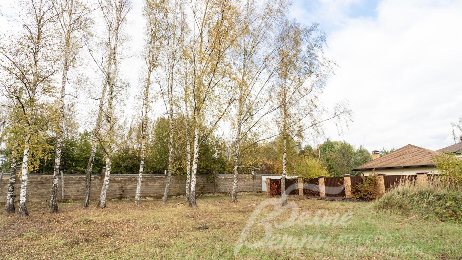 На участке 15,5 соток растут взрослые березы