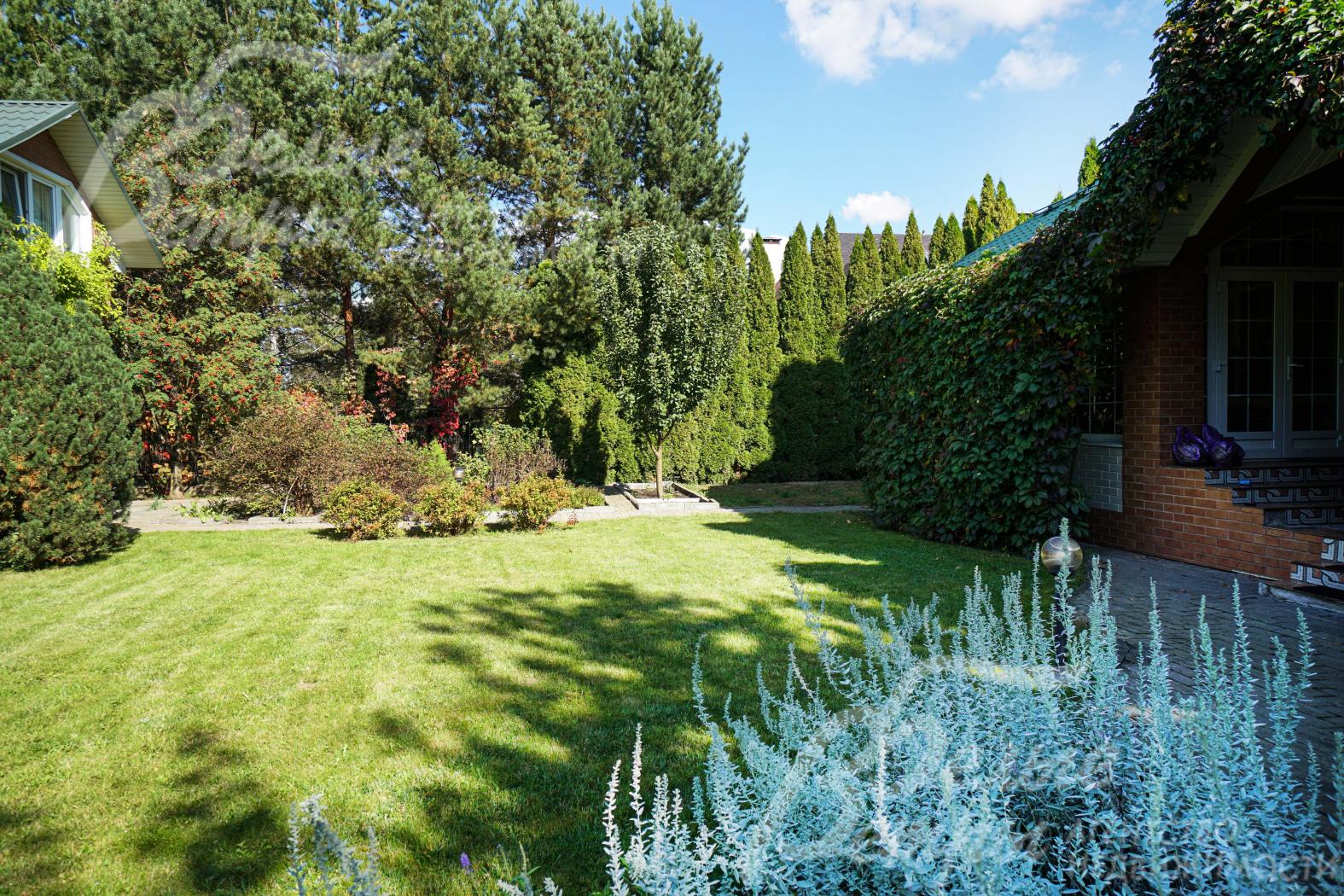 На участке в том числе растут взрослые лесные деревья высотой до 10 м