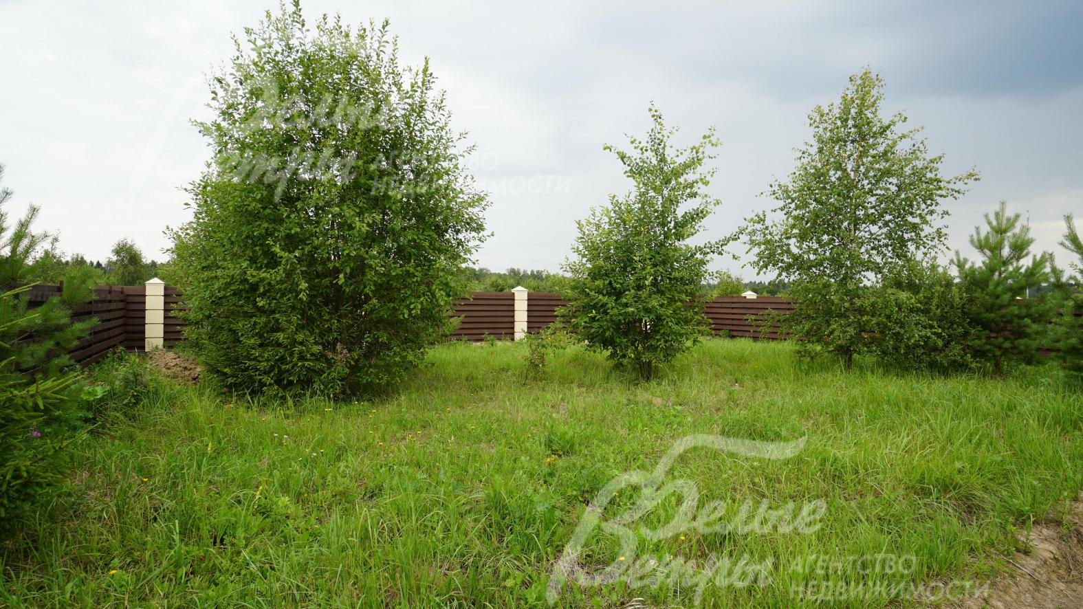 Участок полевой 9 соток с молодыми деревьями
