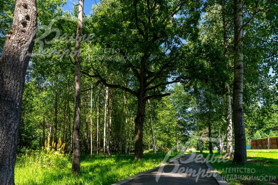 Прогулочные тропинки в лесу и зона вдоль реки Алёшинка.