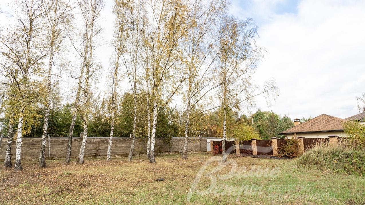 На участке 15,5 соток растут взрослые березы