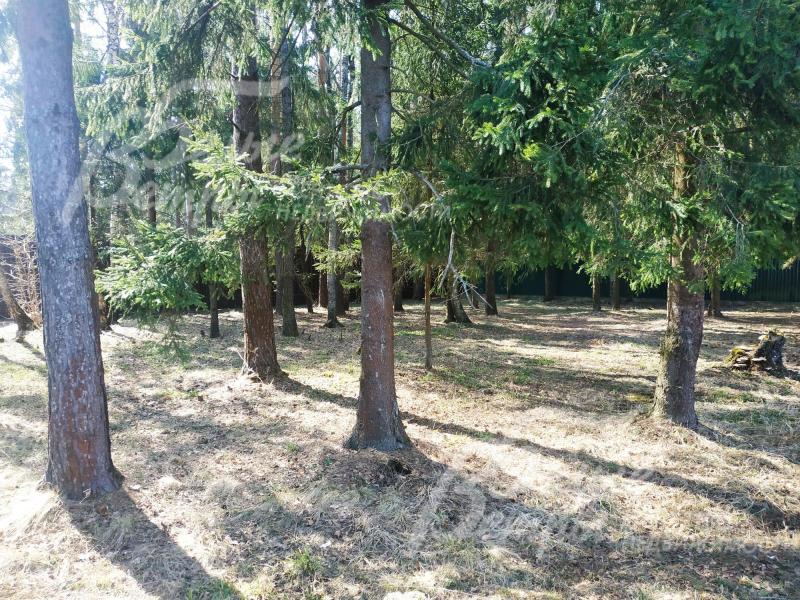 Участок площадью 20 соток в обжитом коттеджном поселке Былово