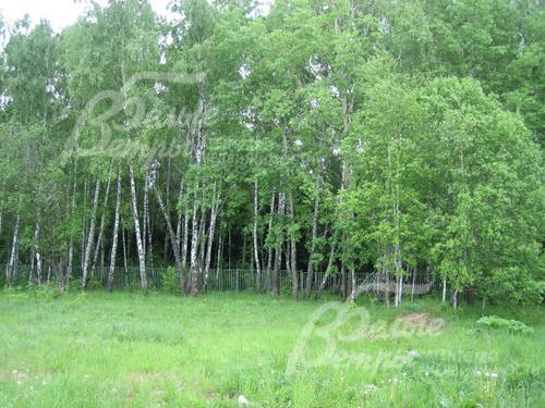 Участок 12.36 соток в КП Лесное озеро