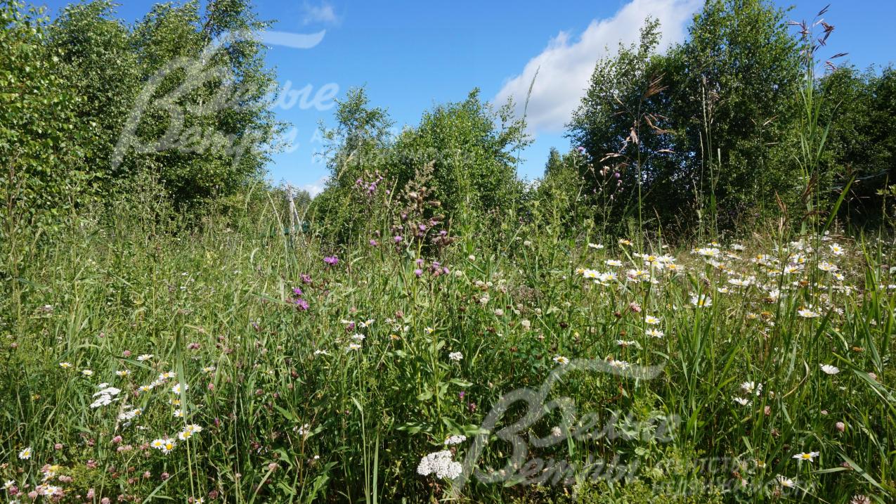 Участок 10 соток со всеми коммуникациями в КП Цветочная Долина