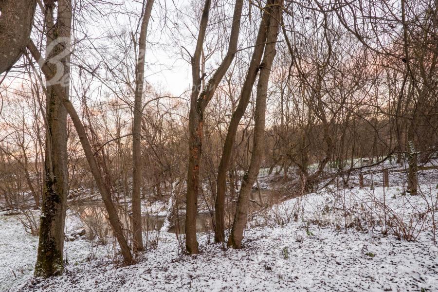 Прилесной участок окружает живописная природа Подмосковья