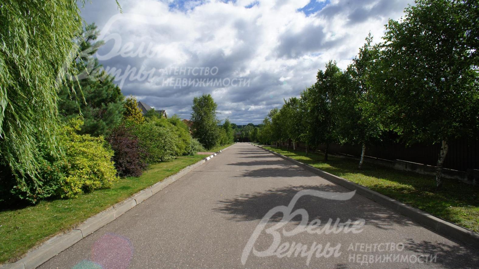 Улица поселка Новая Ильичевка