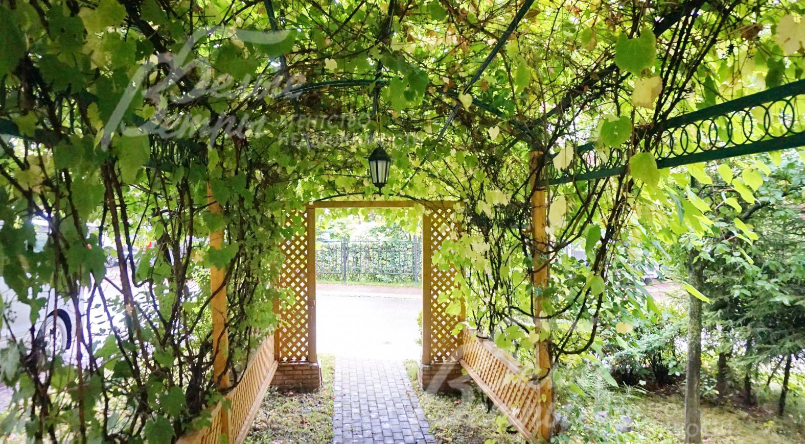 Входная группа в виде перголы с живой изгородью