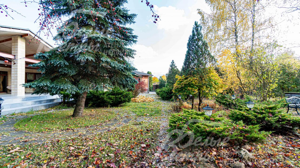 Вековые деревья