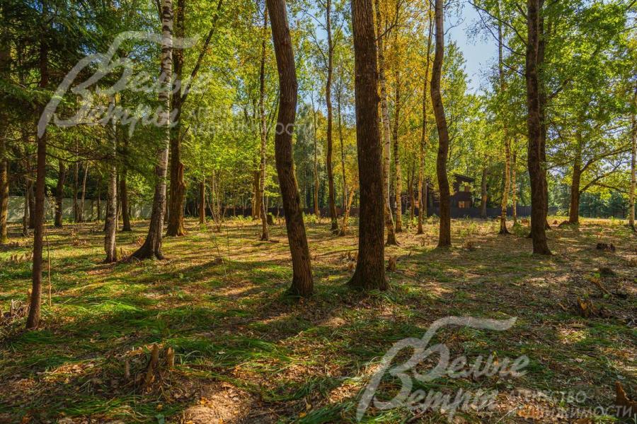 Шикарный лесной участок 25 соток в КП Зеленые холмы