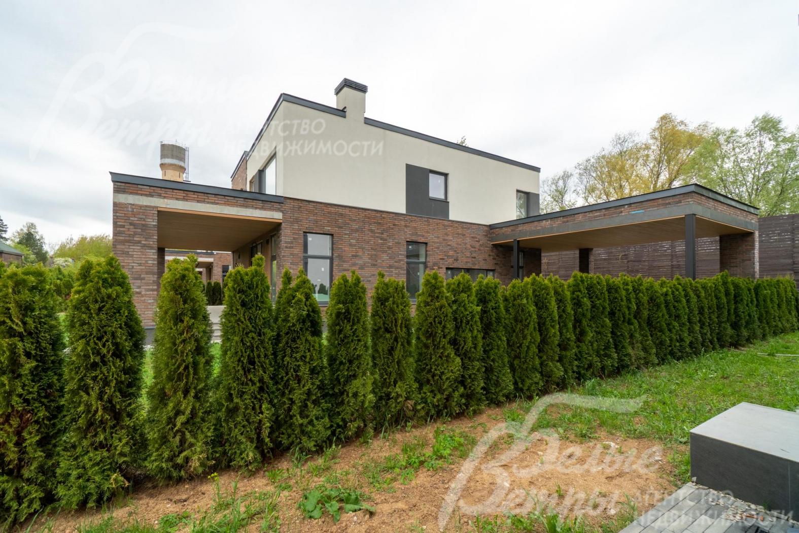 Высаженные на участке туи создают живую изгородь