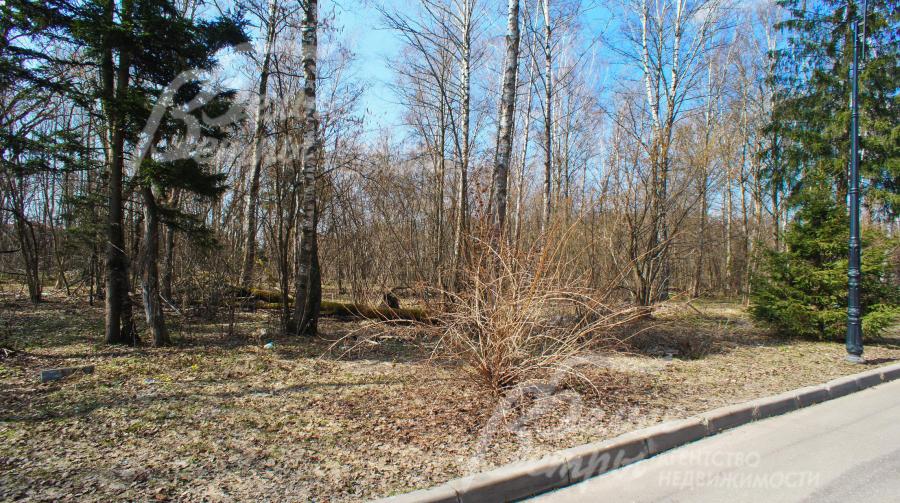 Участок 33.3 сотки в КП "Антоновка"