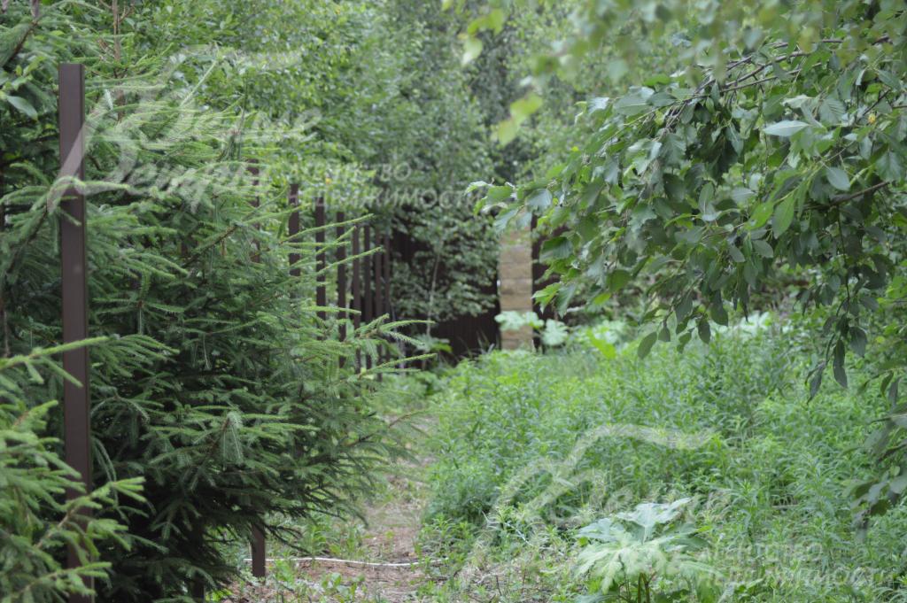 Участок 11 соток в КП Усадьба Шарапово