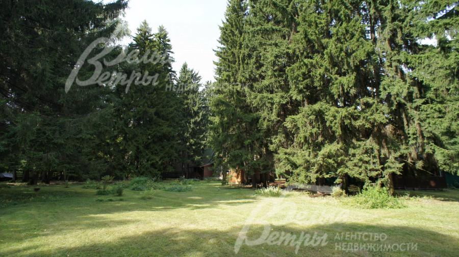 Лесной участок 38.6 сотки в кп "Фрунзевец"