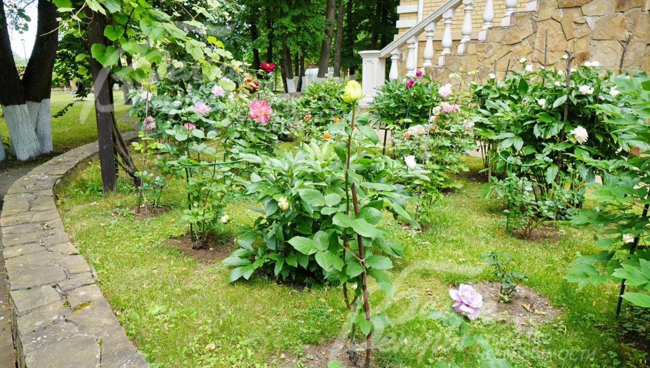 декоративные кустарники, цветники