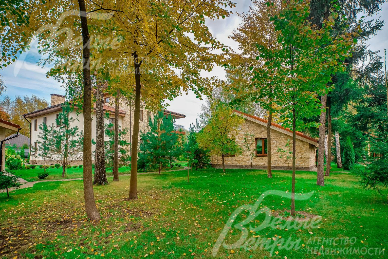 Лесной участок с вековыми деревьями