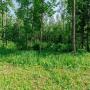 Лесной участок 4 Га под коттеджный поселок