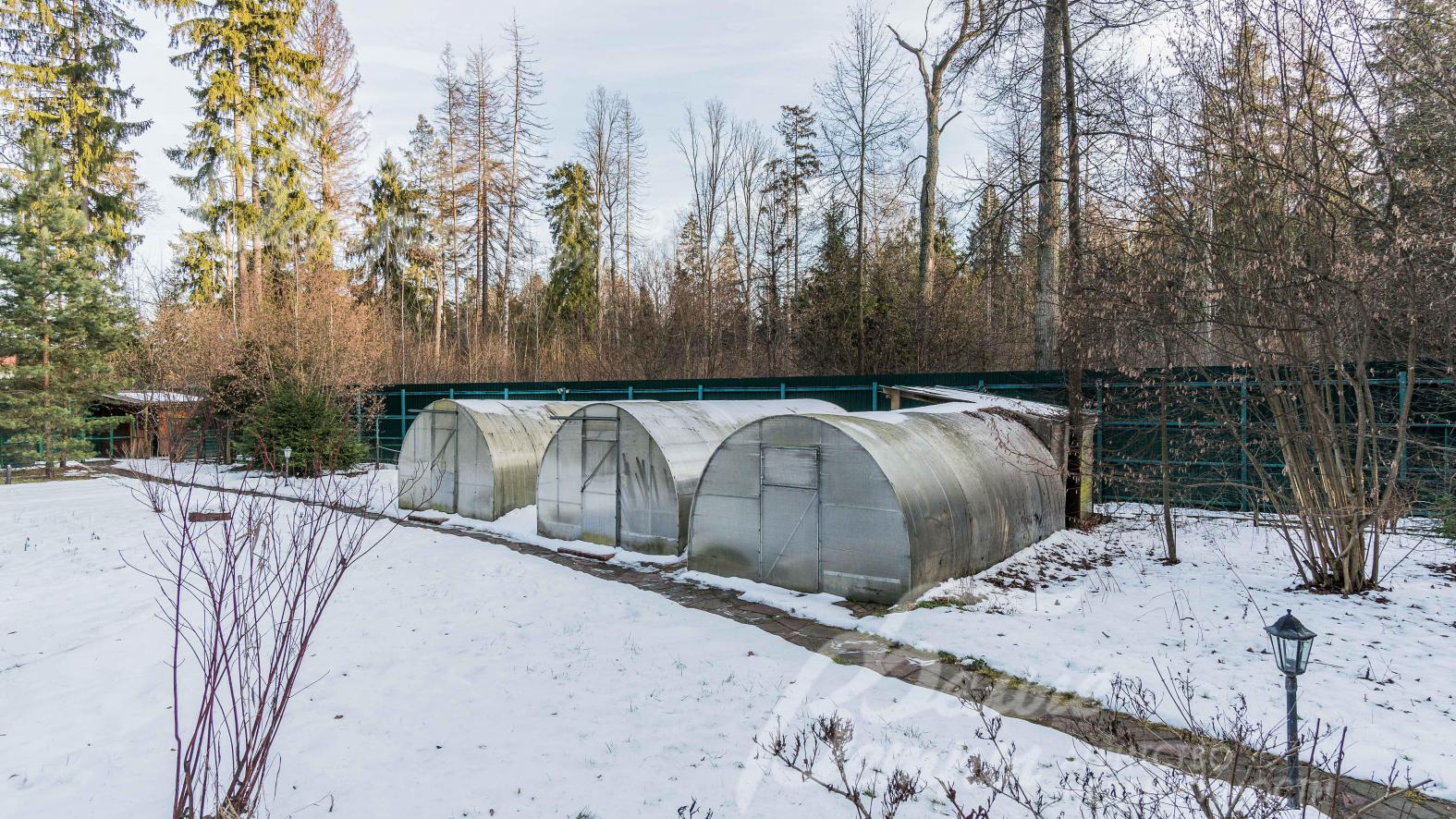 Теплицы на участке