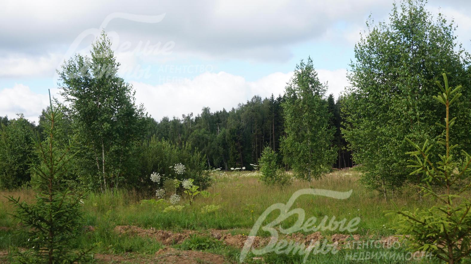 Прилесной участок 12.7 соток в КП Цветочная Долина