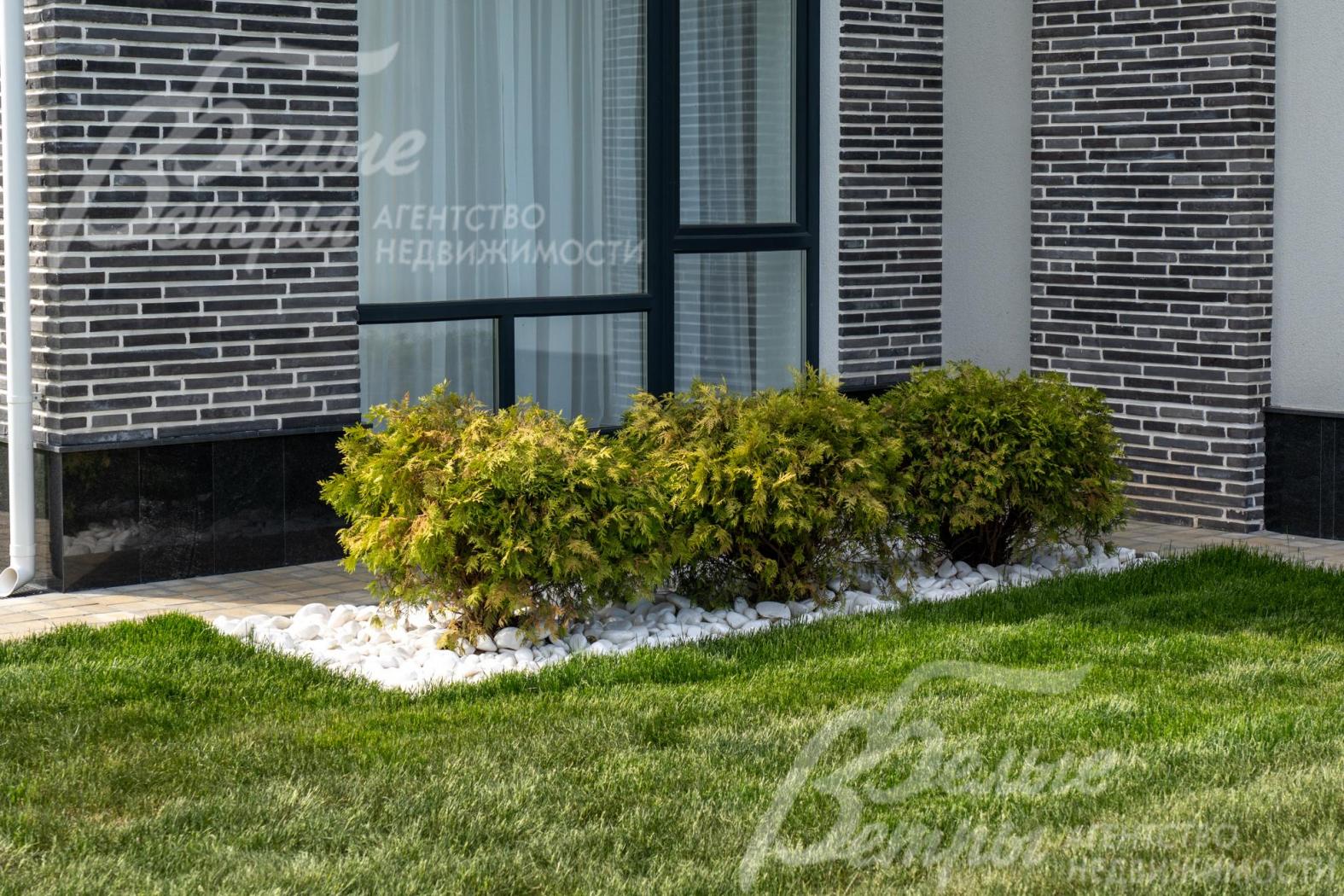 На участке высажены декоративные кустарники