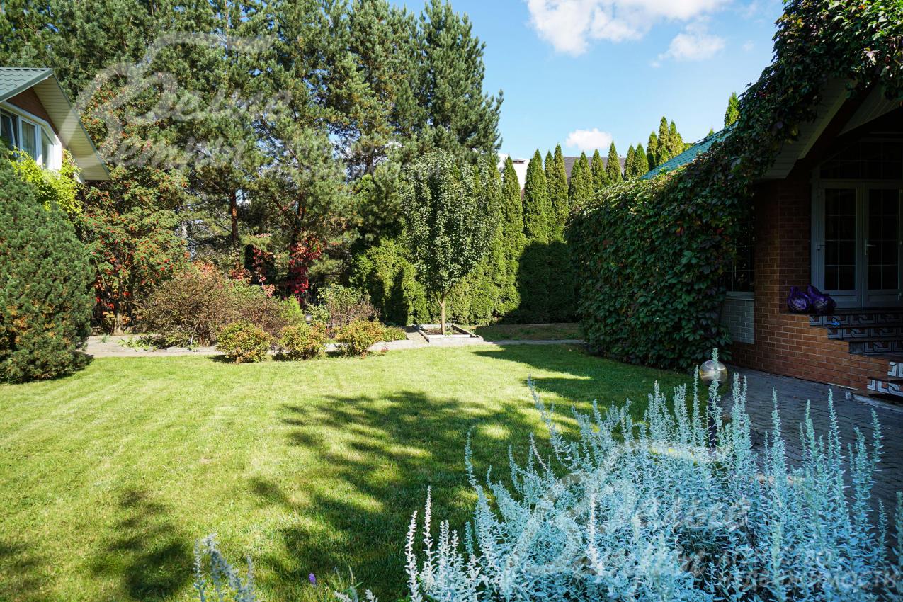 На участке в том числе растут взрослые лесные деревья высотой до 10 м