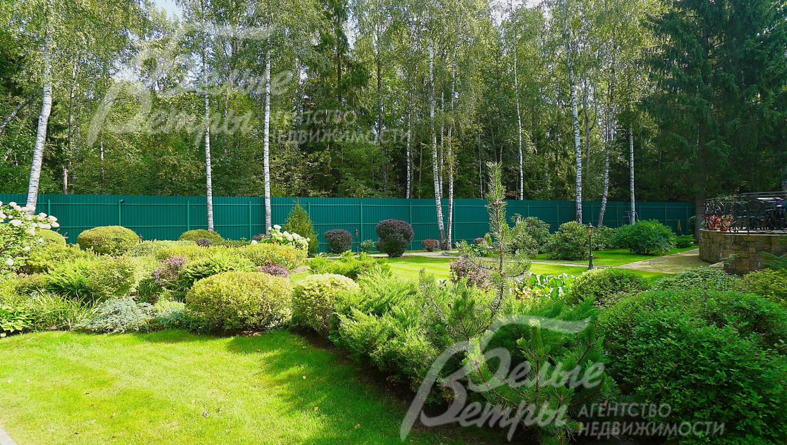 Большое количество туй по периметру участка, множество декоративных кустарников, розарии