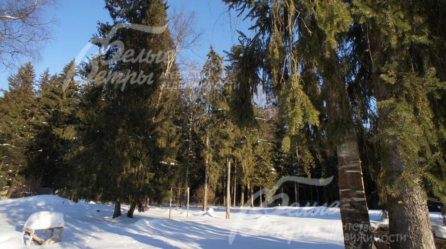 Участок 92 сотки в кп "Огонек" (Рассудово)