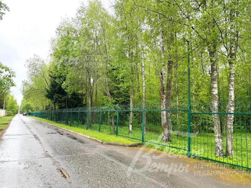 поселок Юпитер рядом с лесом