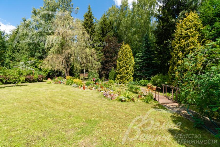 На участке многообразие лесных и декоративных деревьев и кустарников, сухой ручей