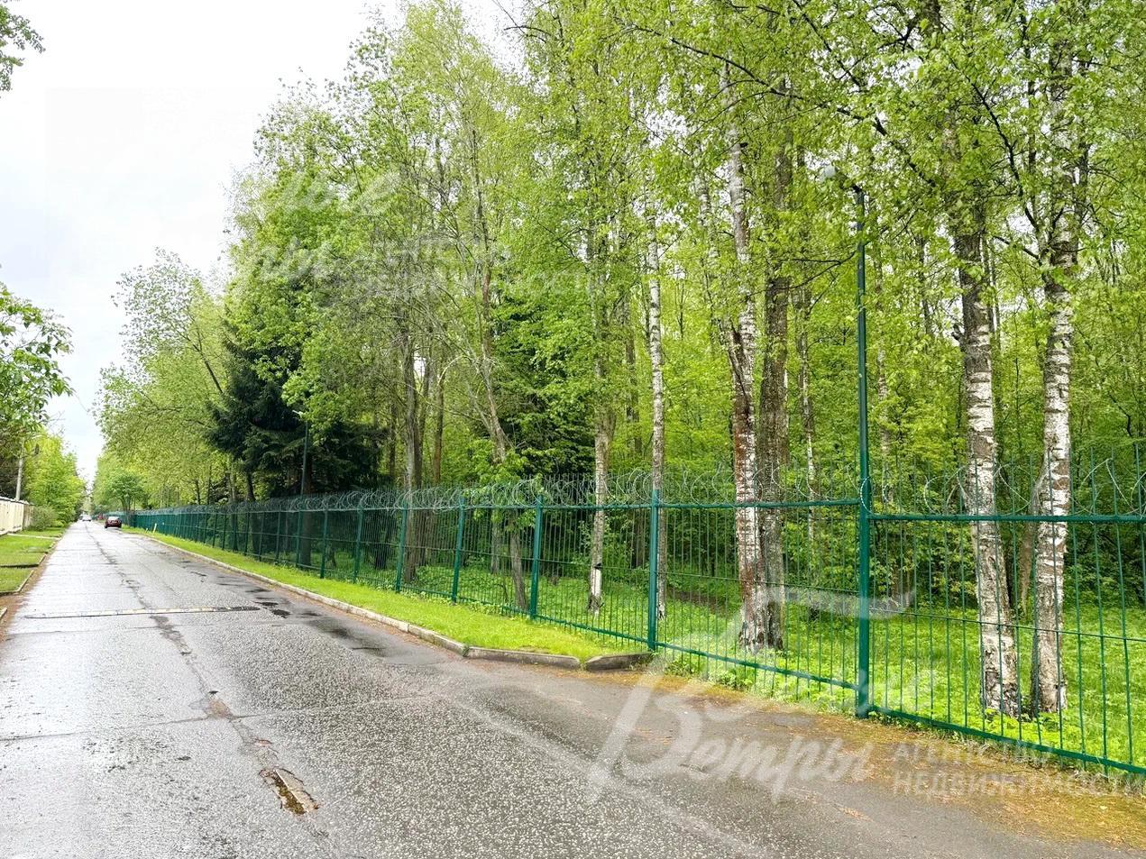 поселок Юпитер рядом с лесом