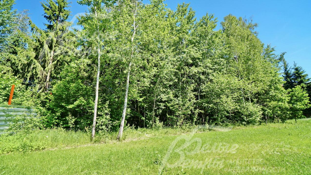 Лесной участок 20 соток