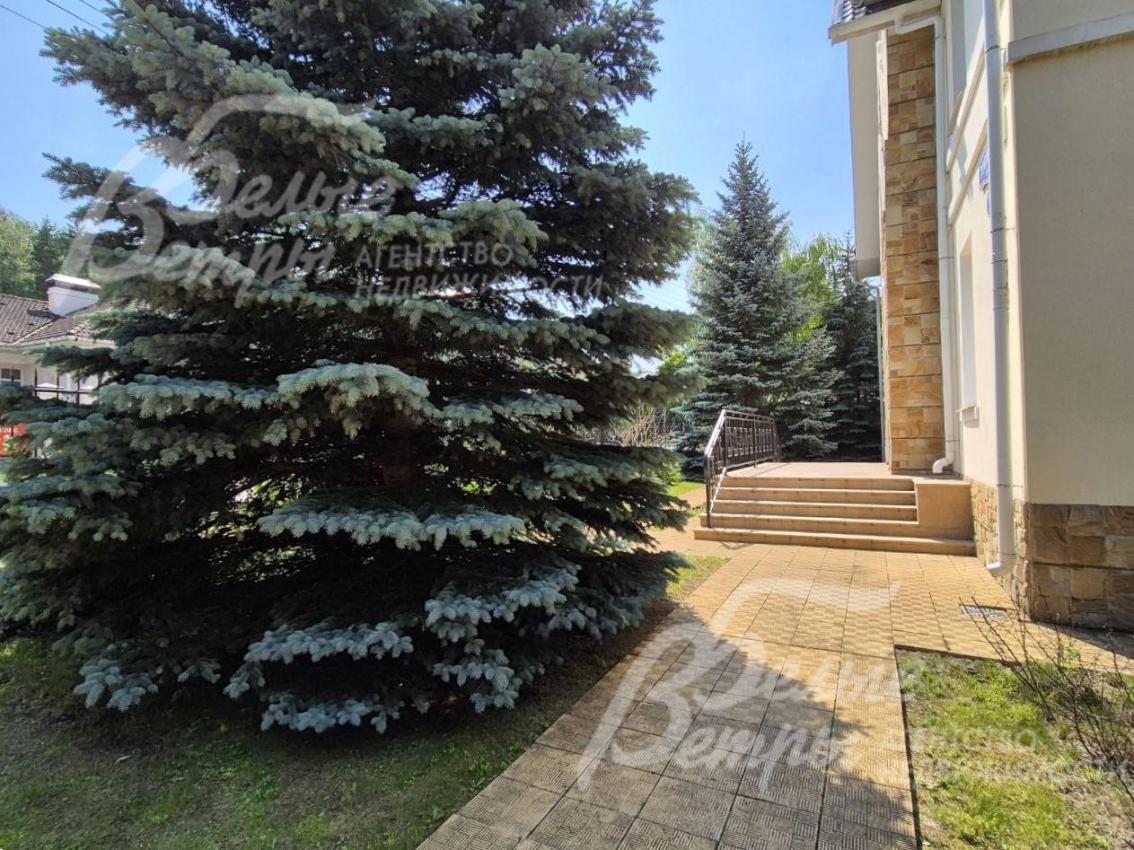 Множество крупномерных хвойных деревьев на участке.