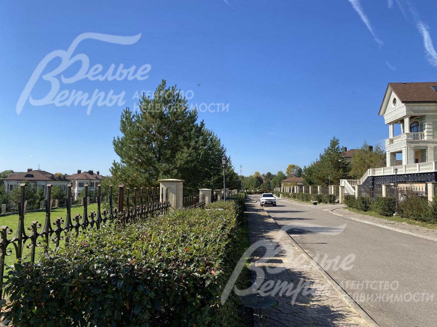 Живая изгородь вдоль забора 