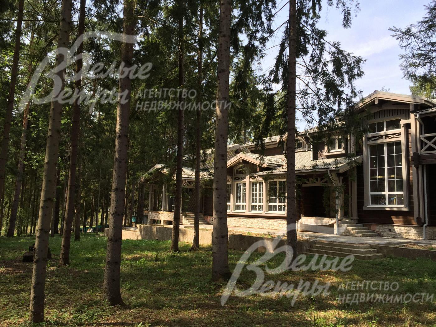 На участке сосновый лес!