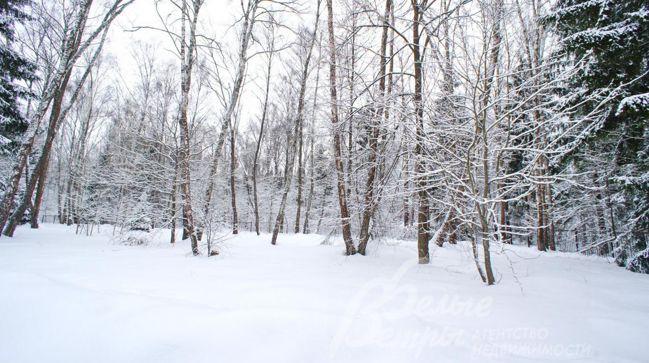 Лесной участок 100 соток