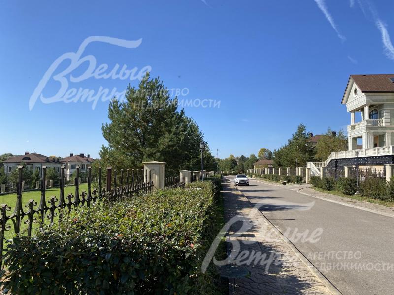 Живая изгородь вдоль забора 