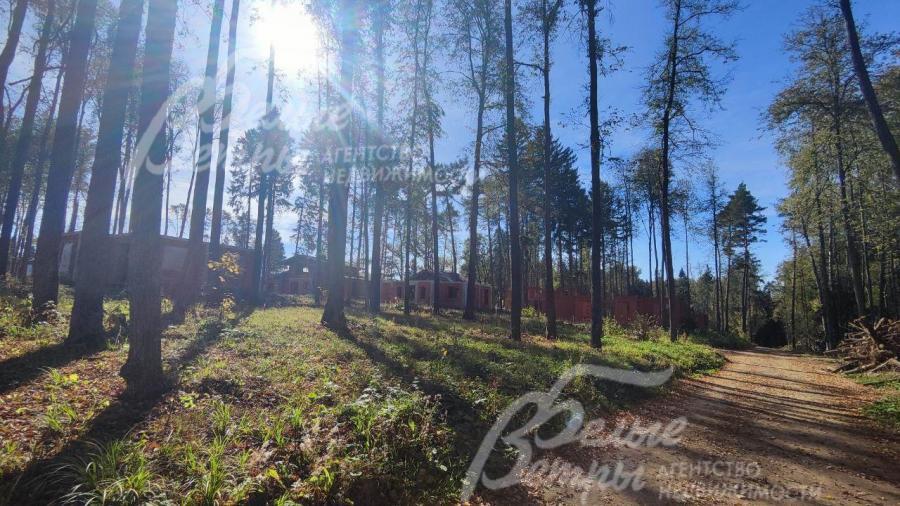 Поселок Бородино Вилладж находится в лесу