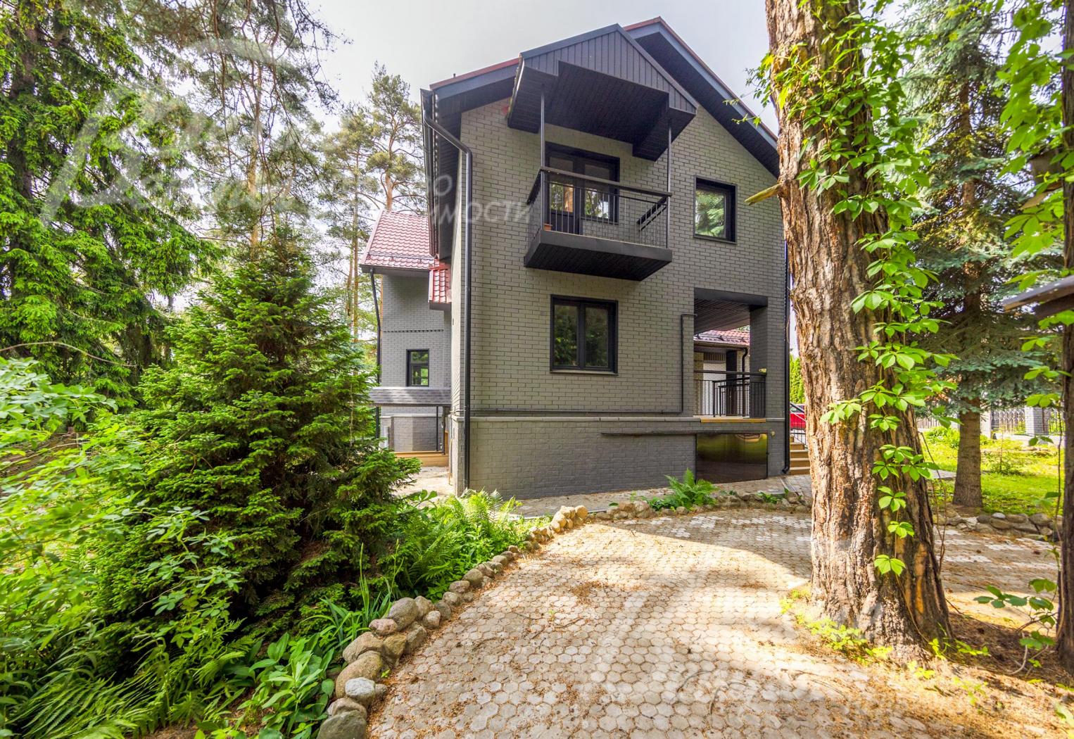 На участке у леса сохранены реликтовые деревья, в том числе сосны и ели