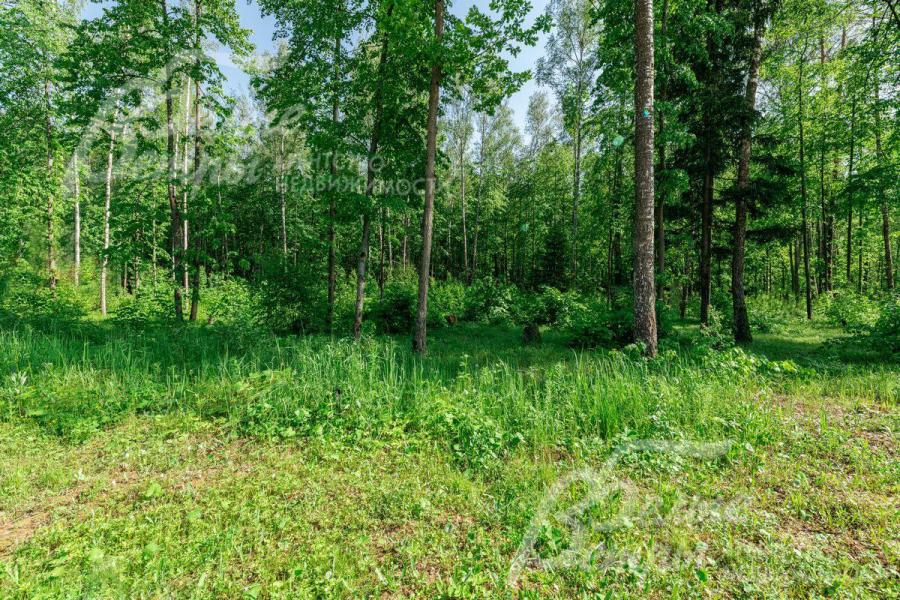 Лесной участок 4 Га под коттеджный поселок