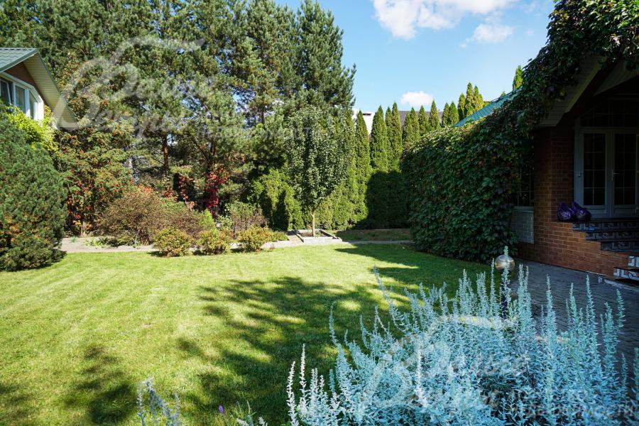 На участке в том числе растут взрослые лесные деревья высотой до 10 м